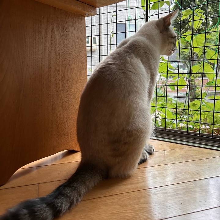 D2be4ba9 d224 4837 858a 873719225fc7 1754774900199