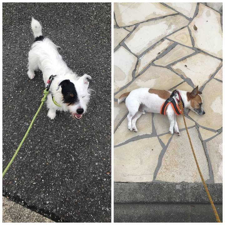 D2be518a a3bd 44c7 bca6 a620e29f2472 1532906542310