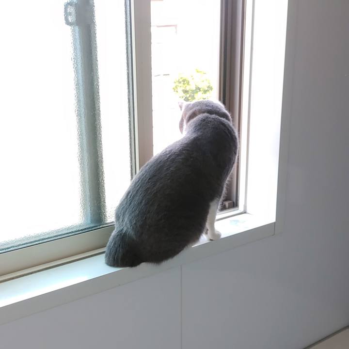 D2be5e35 8ee5 413b bb48 c22444327c08 1683081317015