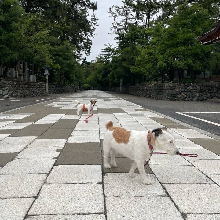 D2be87da 2635 455f 9546 452fc2a93c96 1625438947222