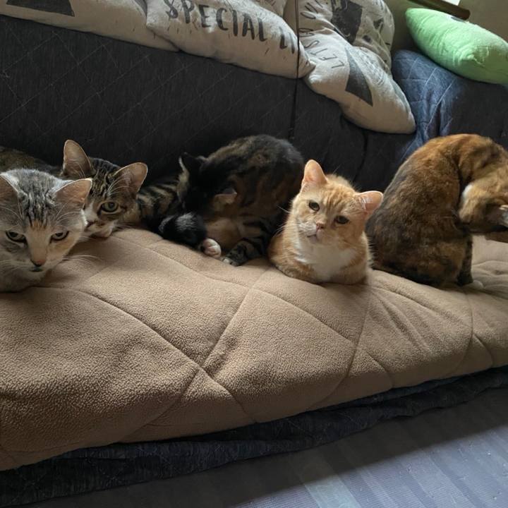 D2bea0bf ad5b 44c8 ae80 762118a72951 1635400626543