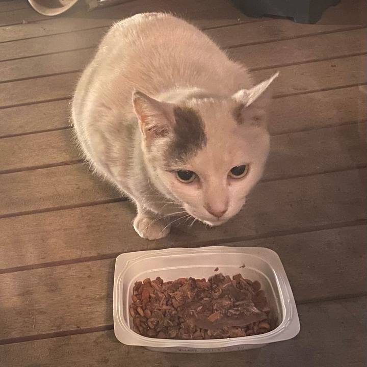 D2bea455 d8fc 4247 96c5 f684151fa6b2 1618829976270