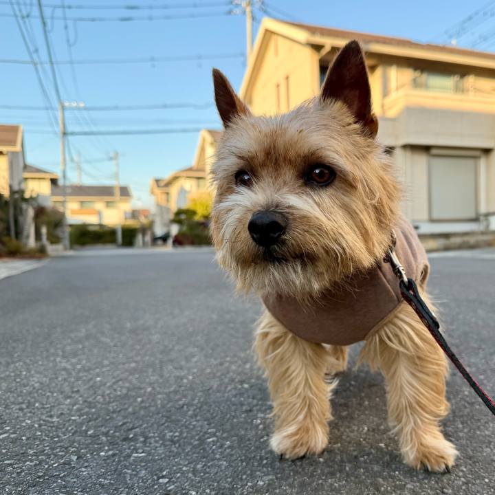 D2beac6a 396c 4177 a31c 8949ebc777f9 1770904469516