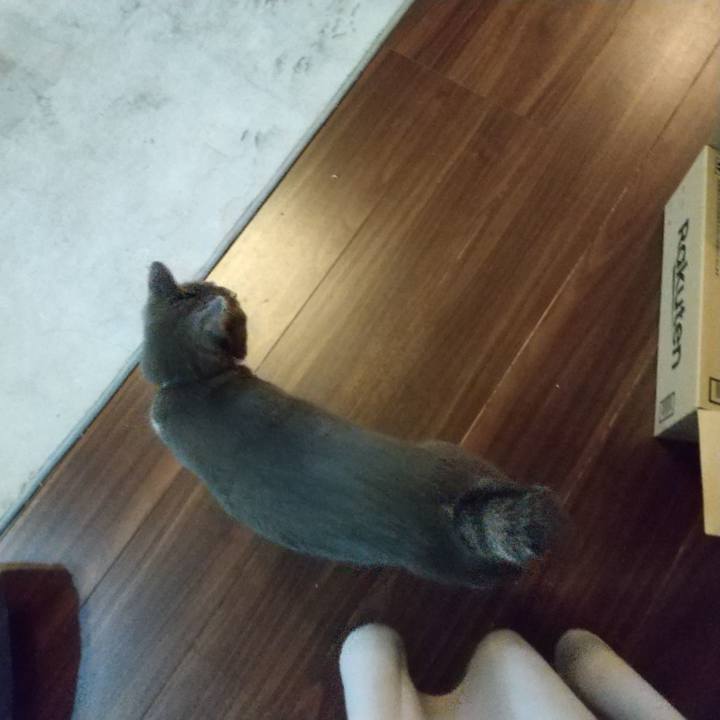 D2beb639 f9db 435c bc4d 5cbb91e3496f 1633989113530