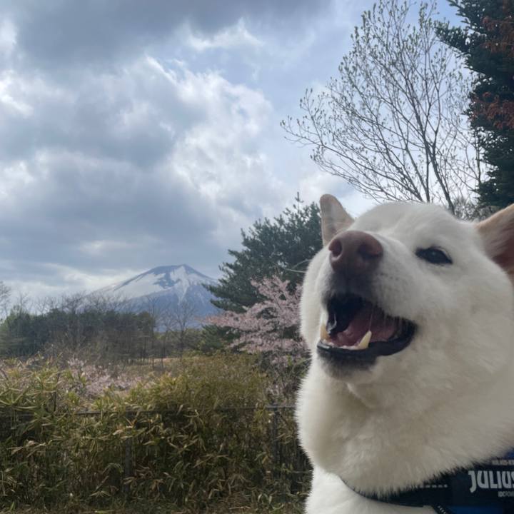 D2bf020c e906 489f abc9 c5f011d8d611 1682126023864