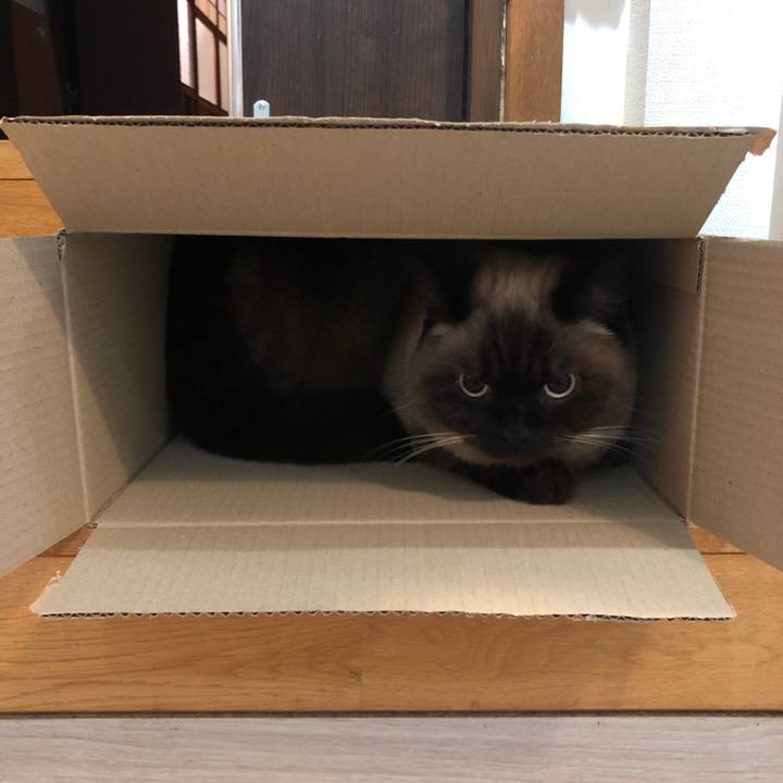 D2bf04a5 148a 4d9c b99c 248f98c9ad1c 1611228889245