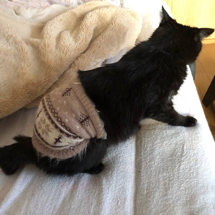 D2bf04e7 fbf8 45d5 99ca c9227b9a7af4 1604439579801