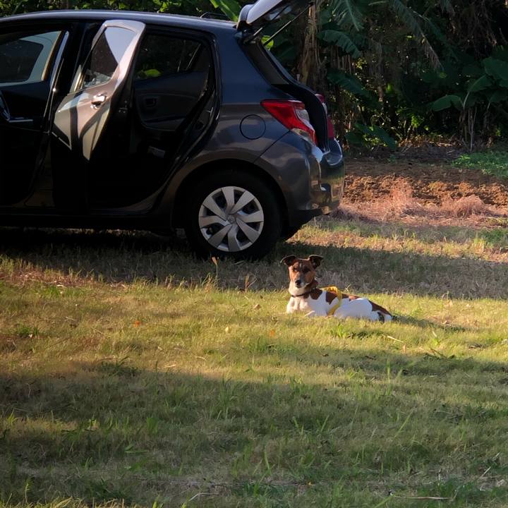 D2bf075e 4522 4d85 85e5 28ce64891984 1573017238975