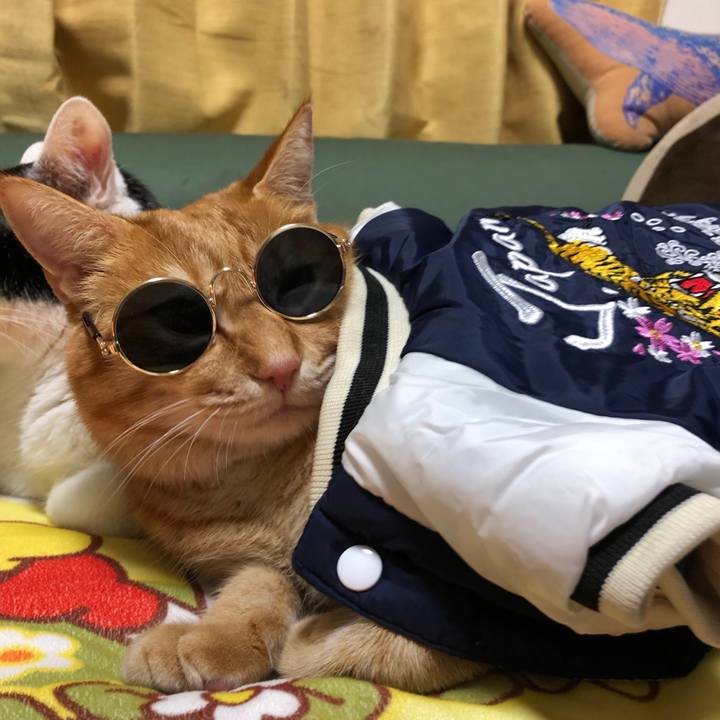 D2bf25a0 98be 406c 8063 77e7a8ea3294 1579101137156