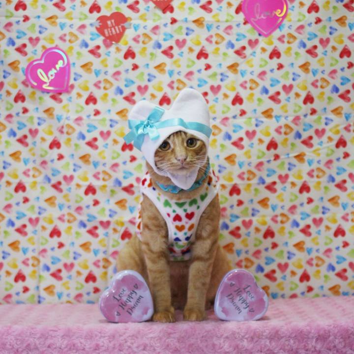 D2bf523d 9d2c 43ce acf1 87de3e4bf471 1739530228198