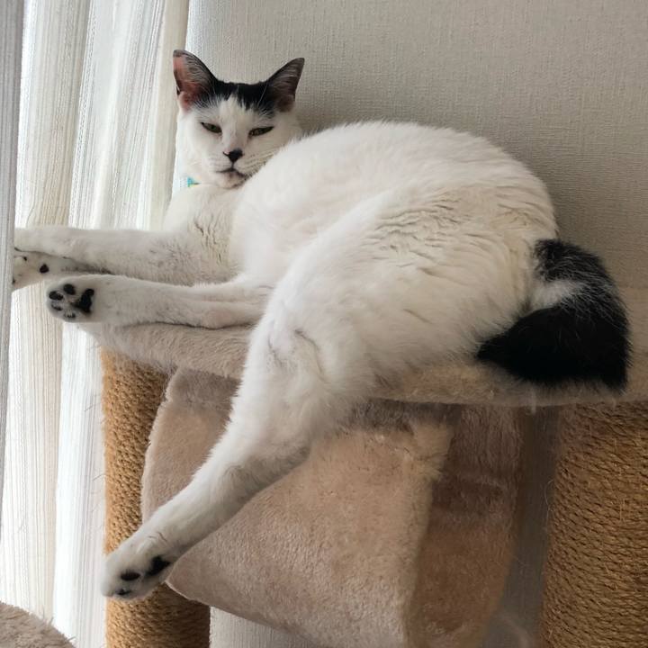 D2bf5682 3a6d 479a b70d d28a8525acee 1535930551877