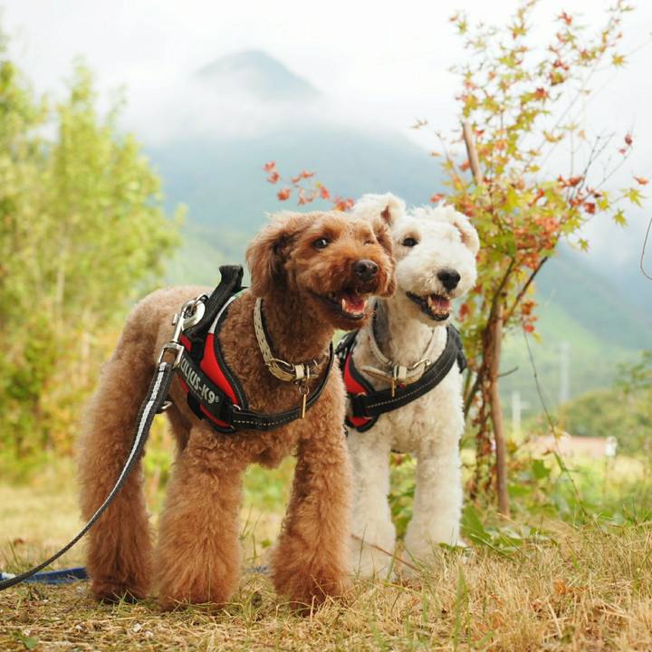 D2bf8712 1586 4dd6 b8e2 c1db83685b02 1534055968744