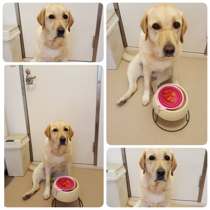 D2bf8ba8 3e49 4040 a2ea 4b7c0ece1d10 1534466709147