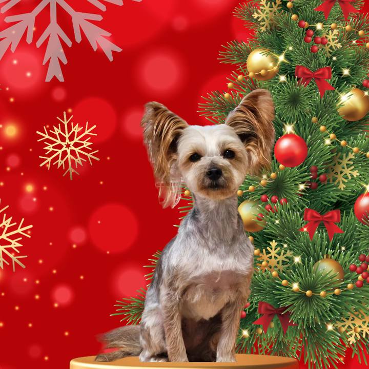 D2bfc4ec 3f88 4745 acc4 11441ff38e95 1703402881763