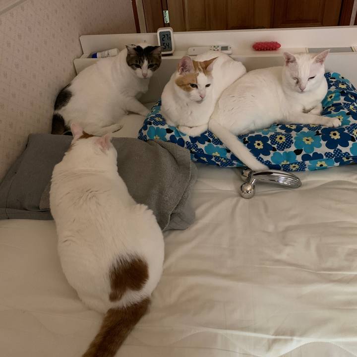 D2bfcef6 e860 4204 9138 690399ab244c 1662522824299