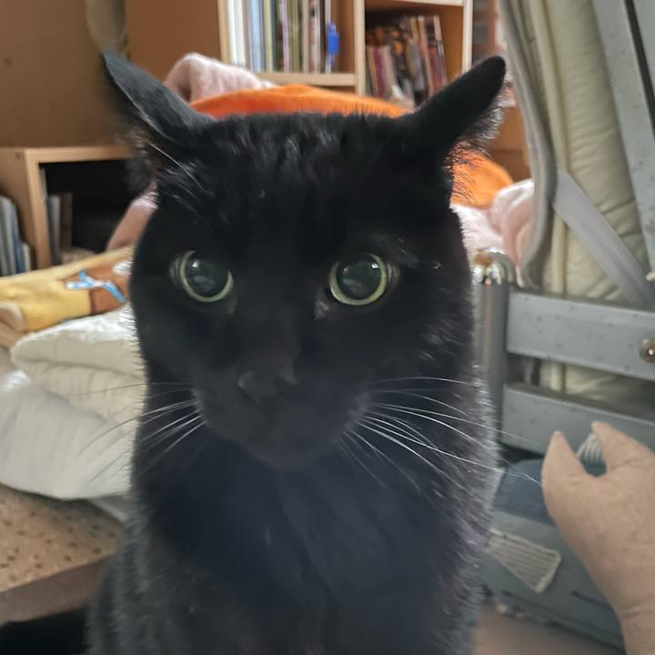 D2bfd88b 9a89 4c13 ae2d 5a4f768eb5db 1609809275542