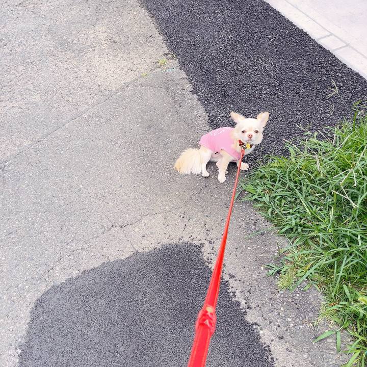 D2bfea91 dc44 49a9 8416 6d78b83472f8 1688550323525