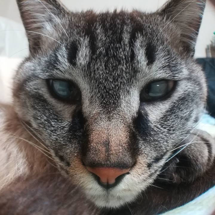 D2bfecaf 57d0 412d 96ec 88847056581d 1519300454792