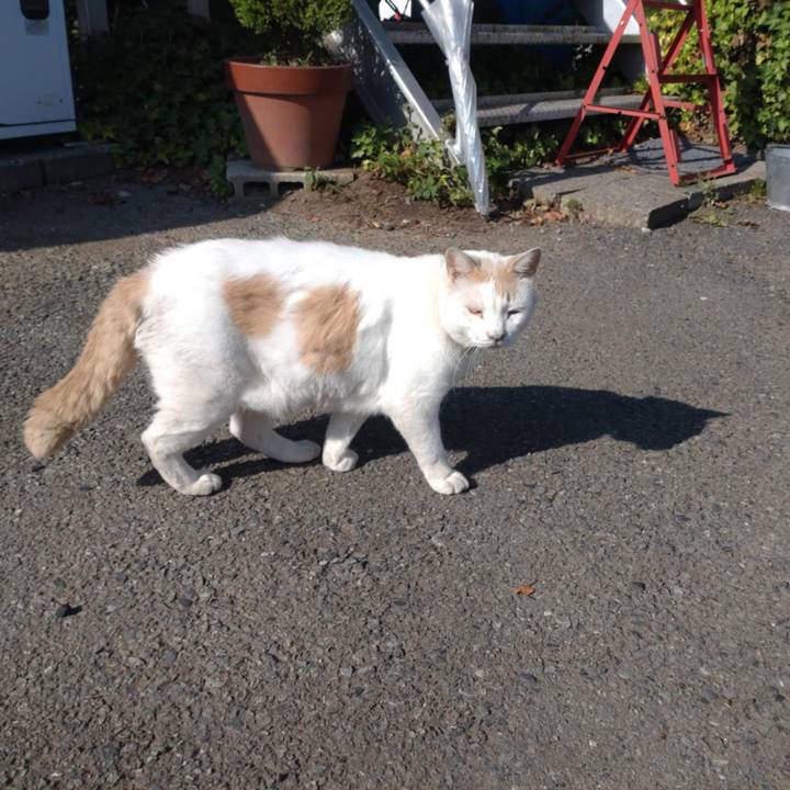 D2c06509 ff23 473a bc43 9915fec24251 1756424429828