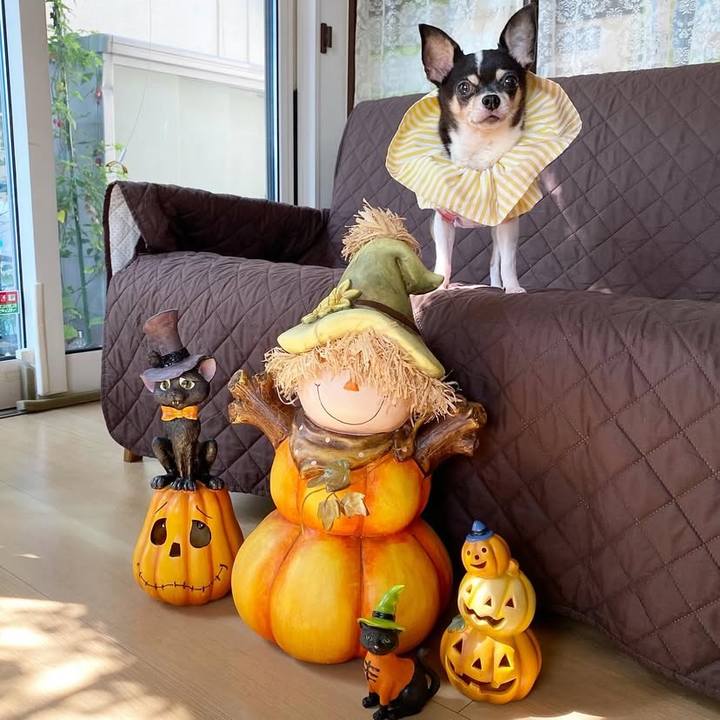 D2c0c511 4a58 46cf b3a6 1db61b41ec76 1760621132536