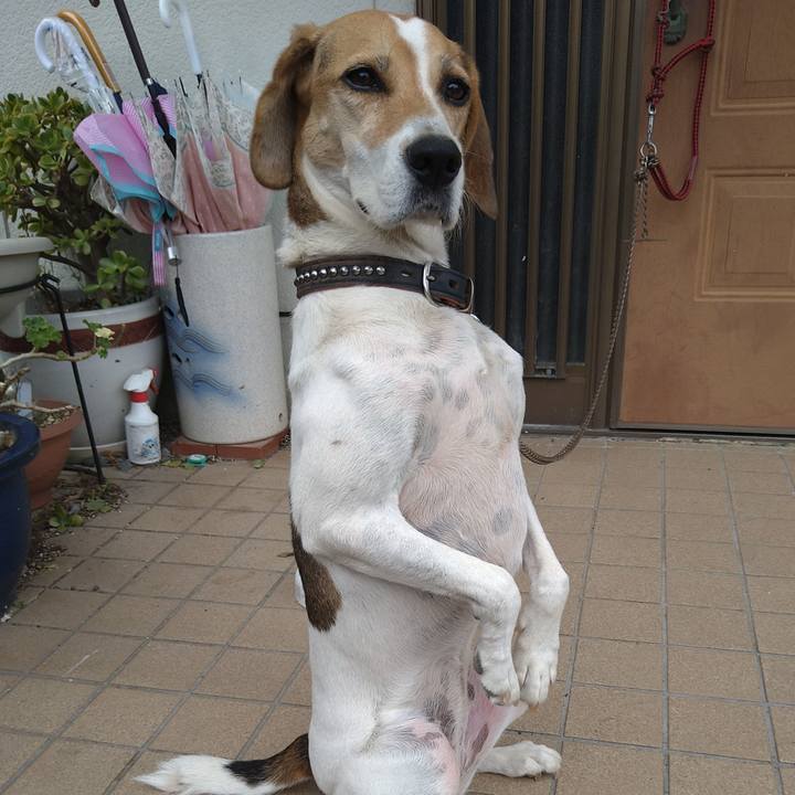 D2c0cbd4 05bf 49a3 83e2 f102abc6430e 1663485294240