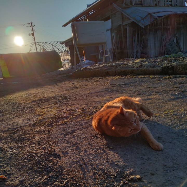 D2c0daf1 c73f 448b aa85 e9627e201b42 1679262824252