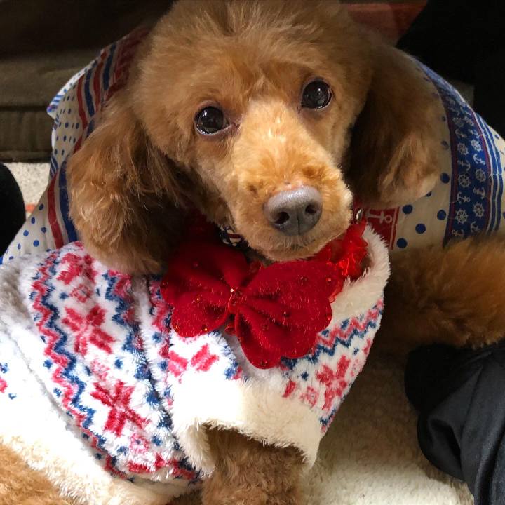 D2c0f963 82d7 4d10 ba7c 4dfc73c70332 1608448170811