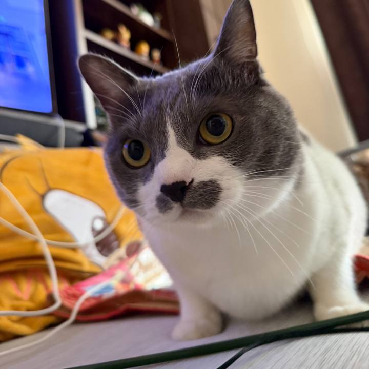 D2c10050 059f 44e6 8129 dea83271442a 1763420388444