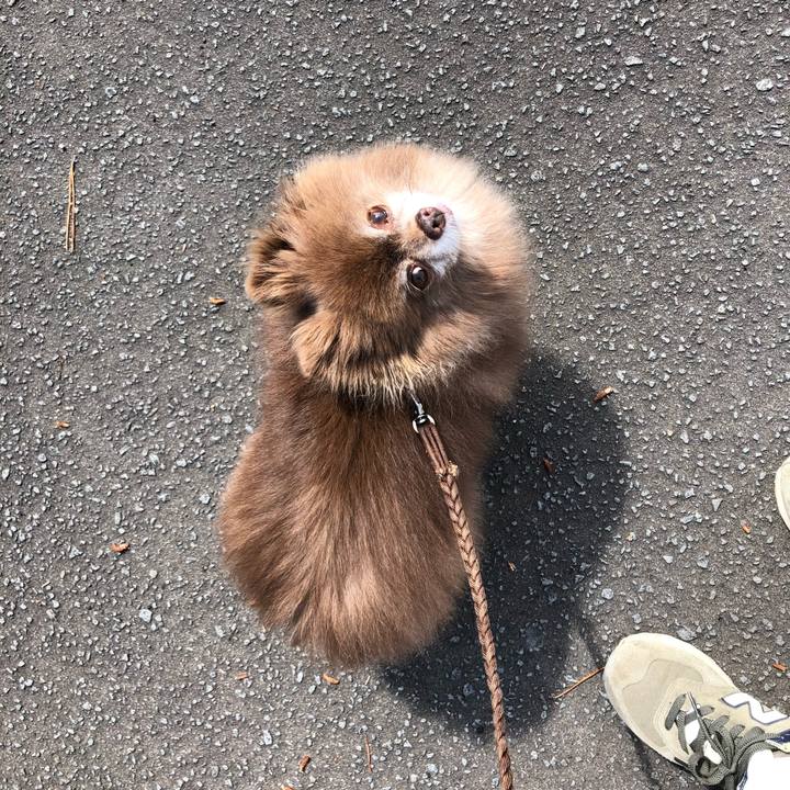 D2c12893 b8f8 4d65 8344 b260f070459d 1624493644999