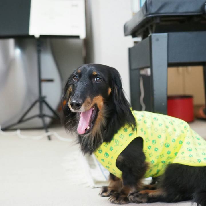 D2c15cfa ceec 4816 af46 e41fd89c0da8 1564627641186