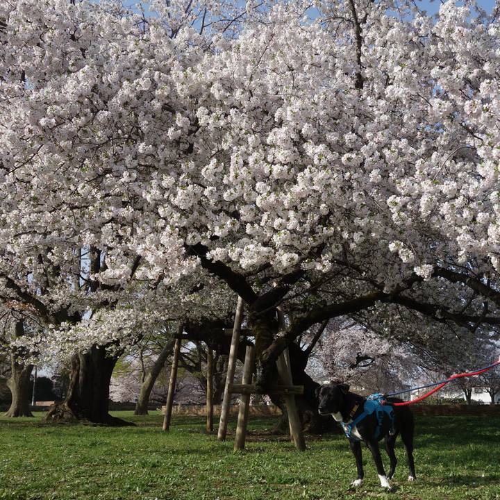 D2c16060 66d0 44b8 b712 56bd39c5b167 1617150583437