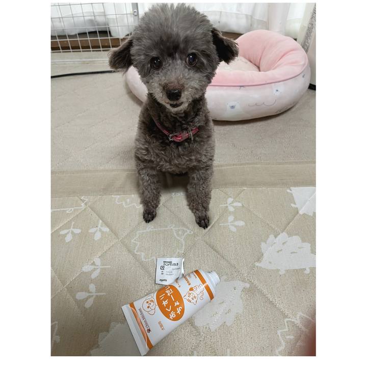 D2c183eb 8c02 4318 9563 f28a65c6dc6b 1754294665998