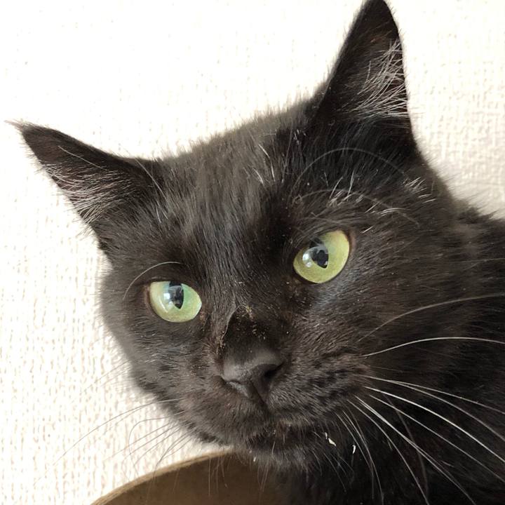 D2c199de 9d16 4822 b13a adcd1d031ba5 1565408537561