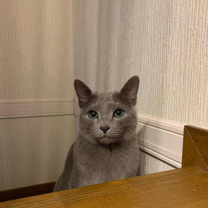 D2c1c6c7 6642 40d7 b534 0888ddd93a5b 1579774140875