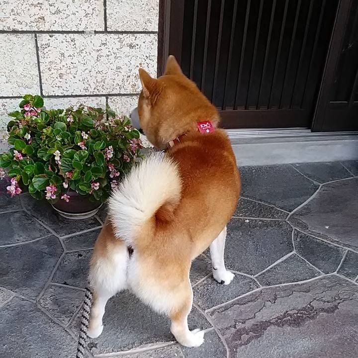 D2c1cbfa 17e1 4c4c 91c8 495bbe8fdafb 1598579894720