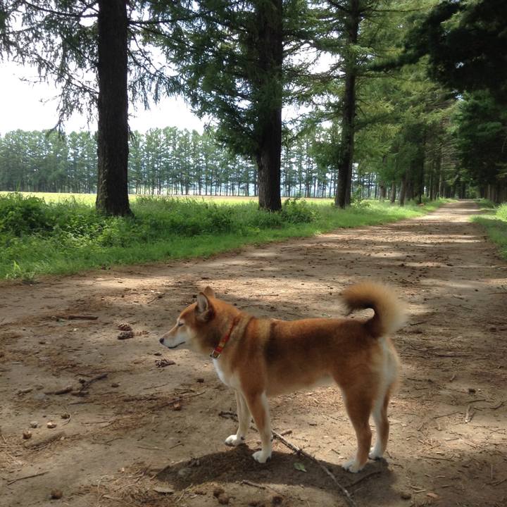 D2c207db 9ed8 4886 9391 a7018135a061 1534579896871