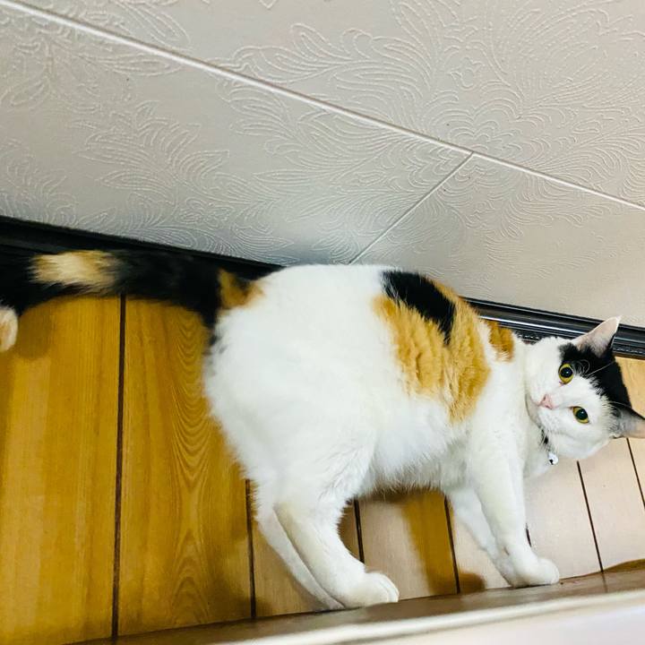 D2c24e89 352f 412a b725 de009b465852 1666992214500