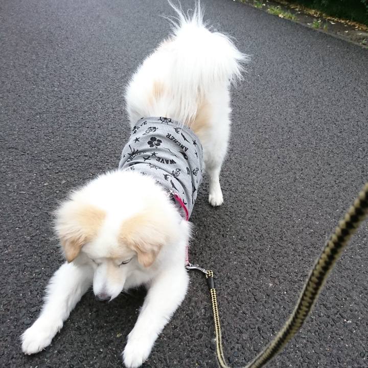 D2c27f00 f9d8 4379 9b97 df7acf8039c8 1525729502621