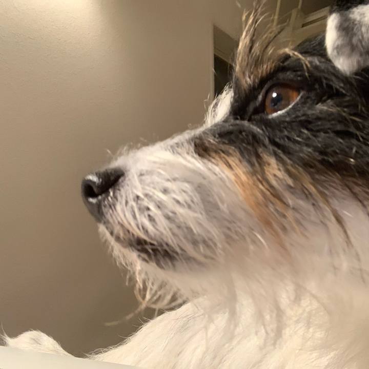 D2c2a971 d6a2 4a92 9224 dace86021140 1636799009927