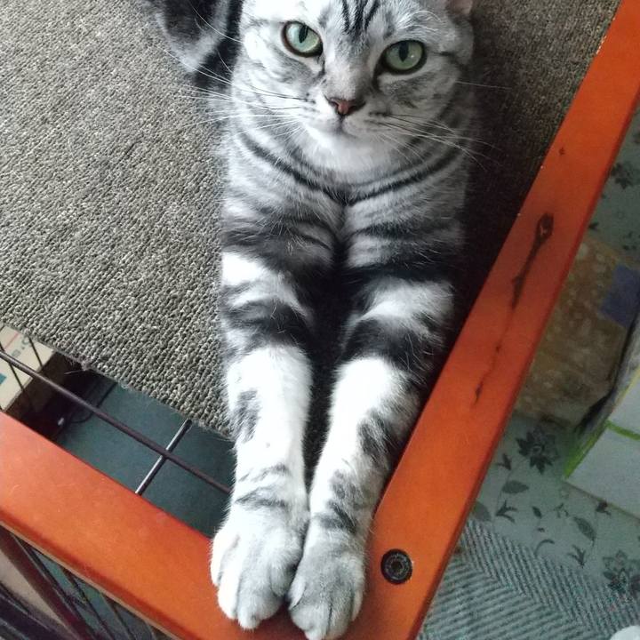 D2c2ab3f 9844 4ba8 a682 a453525bbf10 1685488021087