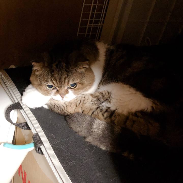 D2c2bd7c 1fe6 40aa a2bb 3e0aed0bc562 1568900311105