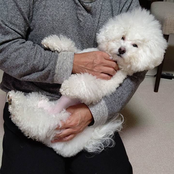 D2c2ce76 399f 4fea 9b2f c438f07d0102 1573442209385