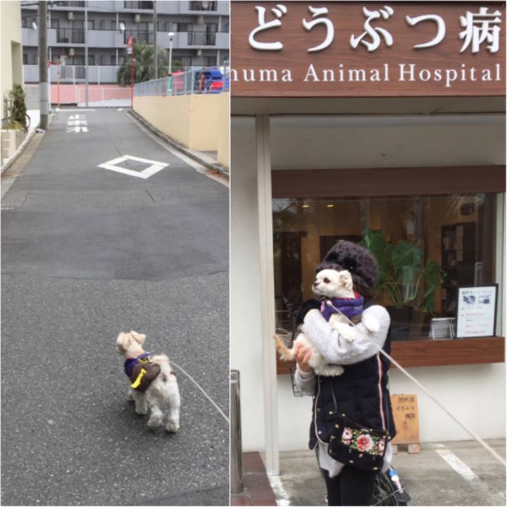 D2c32843 c35f 4df6 bc14 10403000cc0b 1516437196124