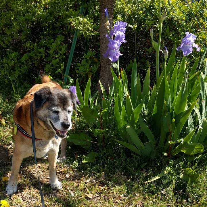 D2c3467c 2bee 4e0f 9a7c 12b6465d2598 1555547666497