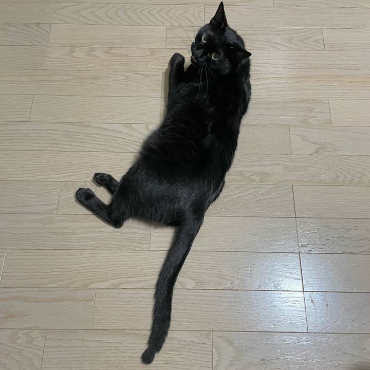 D2c3542b 826f 4fd2 b66b b815071019e0 1653481035505