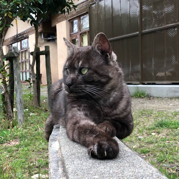 D2c356fd 6f57 4edf 9cb4 c4cade5be082 1585876893425