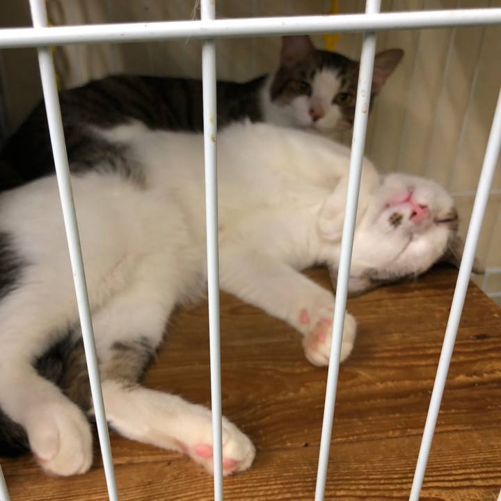 D2c38d4d b6bb 46e2 a8a1 01f289c22966 1564463654180