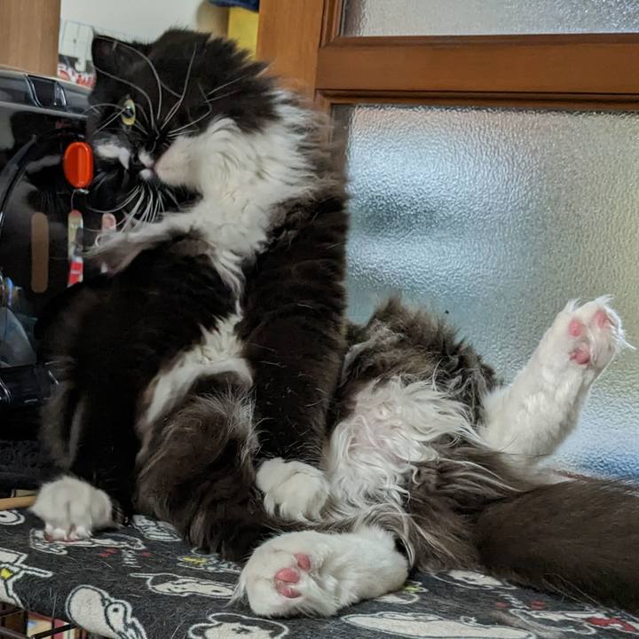 D2c3a4ac cd54 41ba ae2a a39810b52ad9 1678710697042