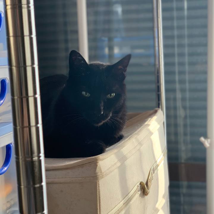 D2c3c82b 5f3a 4dd8 aa0e 87de758875f2 1583025992855