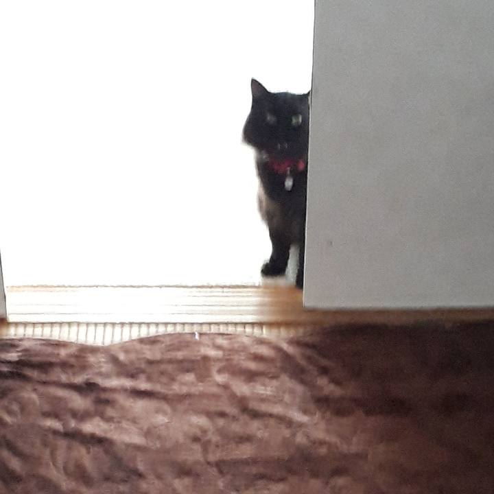 D2c3cfbe b5f9 4d82 8f46 871d73d34885 1519257369601